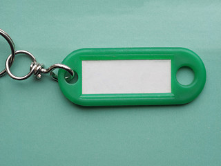 Image showing Green keyring