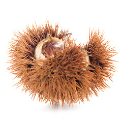 Image showing Chestnuts with shell 