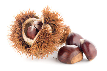 Image showing Chestnuts with shell 