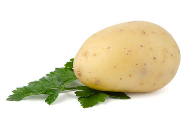 Image showing New potatoes and green parsley