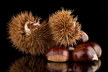 Image showing Chestnuts on a black reflective background