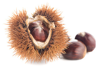 Image showing Chestnuts with shell 