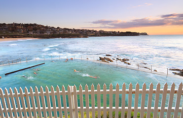 Image showing Early morning swim at Bronte Pool, Australia