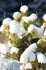 Image showing Winter landscape