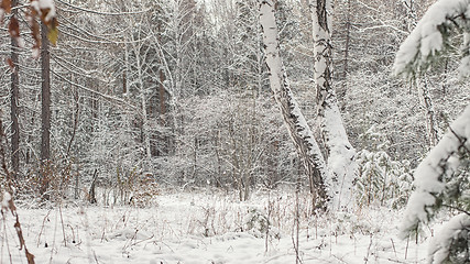 Image showing Winter landscape