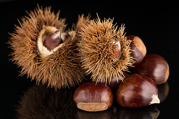 Image showing Chestnuts on a black reflective background