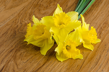 Image showing Jonquil flowers