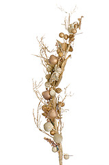 Image showing Golden Christmas decoration branches