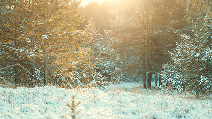 Image showing Winter landscape