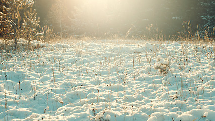 Image showing Winter landscape