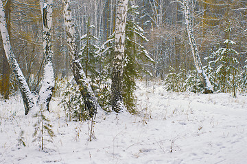 Image showing Winter landscape