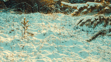 Image showing Winter landscape