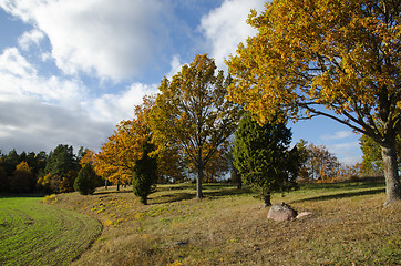 Image showing Beautiful landscape at fall