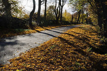 Image showing Shiny colorful road