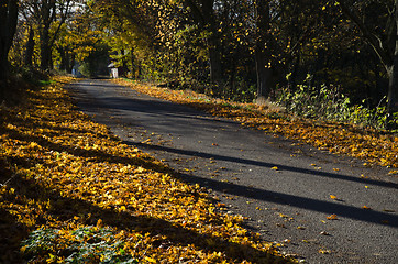 Image showing Shiny road