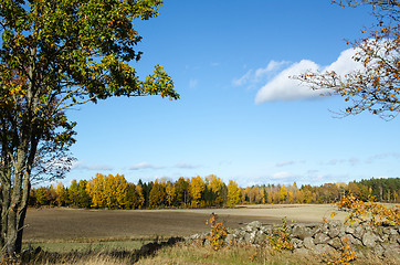 Image showing Landscape with golden colors