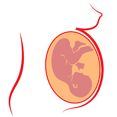 Image showing Human  Fetus Silhouette