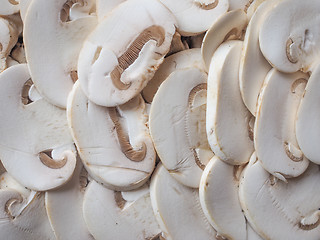 Image showing Champignon mushrooms background