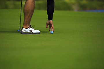 Image showing Golfer