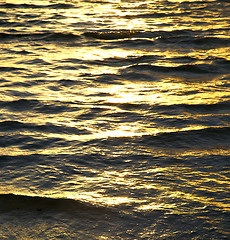 Image showing   kho tao bay abstract of a gold in water   south china sea