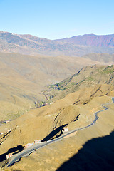 Image showing in ground africa morocco the bush