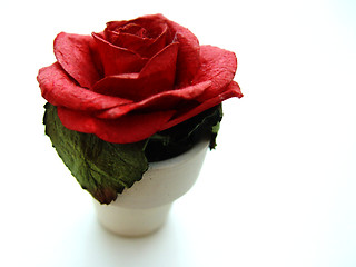 Image showing paper rose
