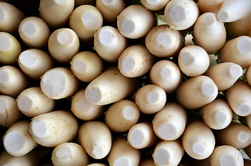 Image showing Indian white radishes