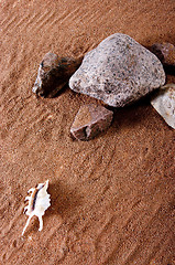 Image showing The texture of the river bank