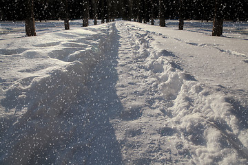 Image showing Snow covered path at night