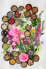 Image showing Alternative Herbal Medicine