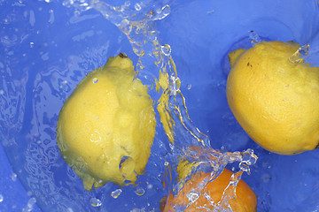 Image showing Oranges and lemons