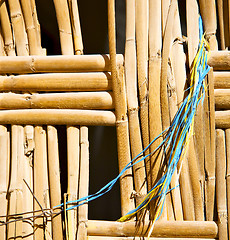 Image showing texture bamboo in morocco africa brown natural line closeup