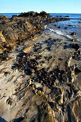 Image showing     madagascar    andilana   seaweed   indian   sky and rock 