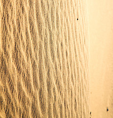 Image showing brown dry sand in  morocco africa erosion and abstract