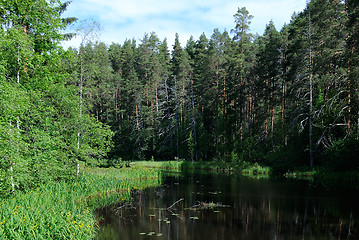 Image showing Forest River.