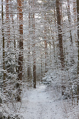 Image showing Ground road snowfall after