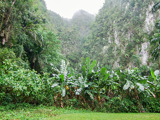 Image showing around Vinales Valley in Cuba