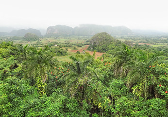 Image showing around Vinales Valley in Cuba