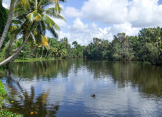 Image showing around Vinales Valley in Cuba