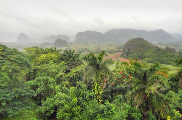 Image showing around Vinales Valley in Cuba