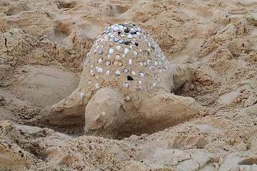 Image showing turtle from the sand 