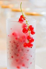 Image showing Fresh red currants in glass