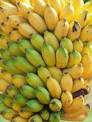 Image showing lots of bananas