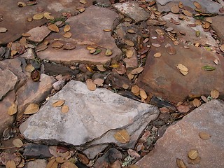 Image showing Stones and Leaves in Auli