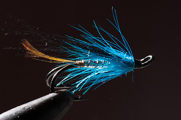 Image showing Blue and silver fly