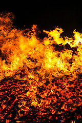 Image showing Burning flire