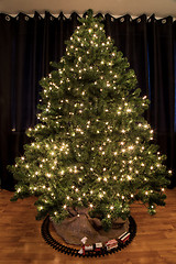 Image showing Chistmastree with lights