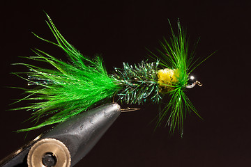 Image showing Green wooly bugger