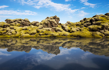 Image showing Moss grown lava