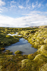 Image showing Icelandic lava field